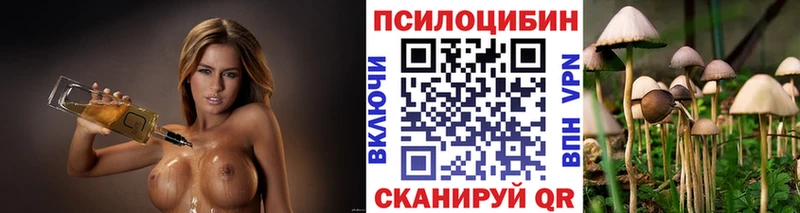 Псилоцибиновые грибы мицелий Бирюч